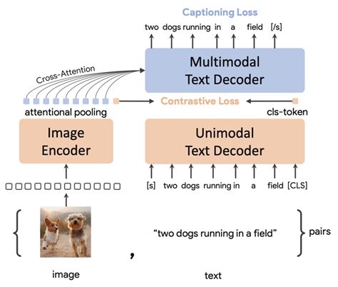 imagenet sota|coca imagenet.